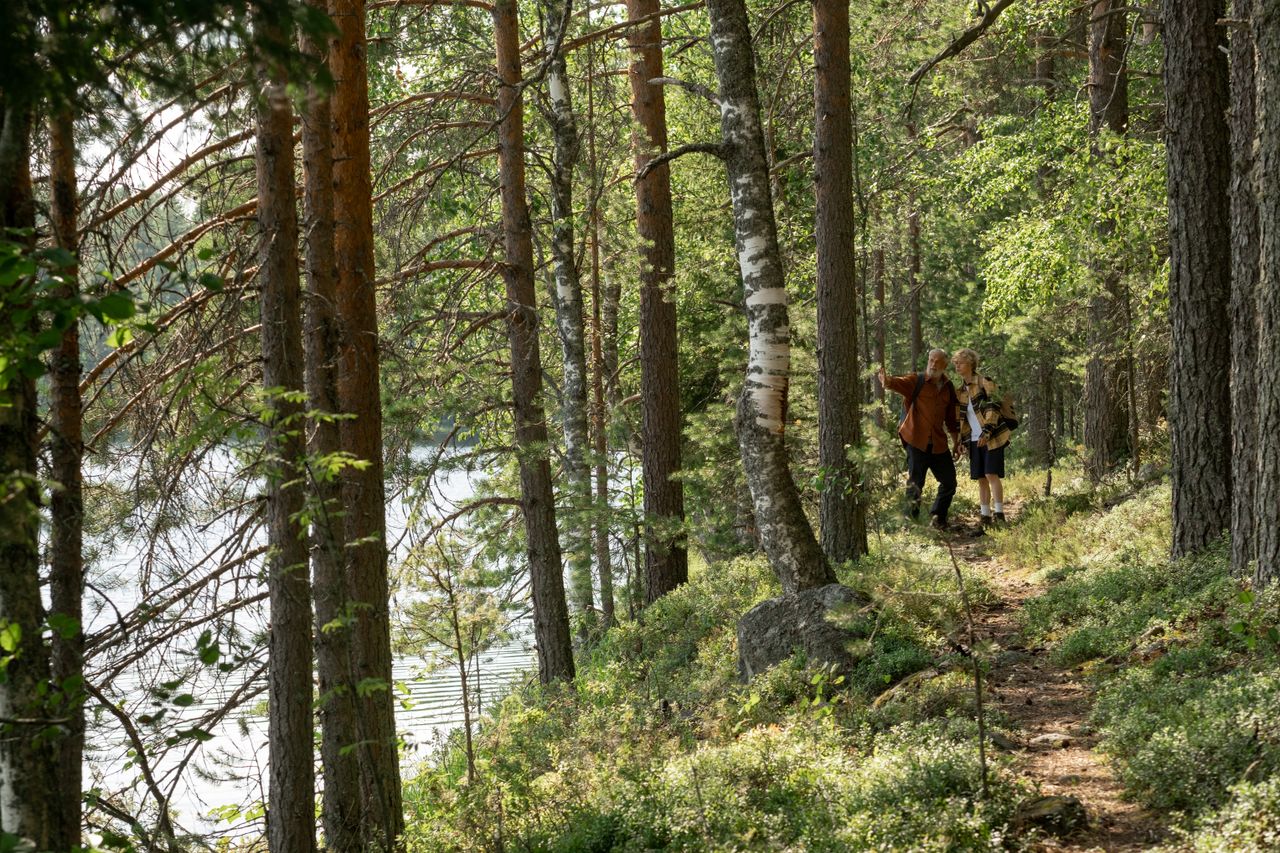 The Art of Drawing Readers In: Your attractive post title goes here A grandfather and grandson walking through a lush forest along a riverside trail during summer.